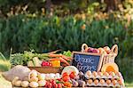 Table of fresh produce at market