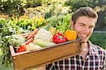 Smiling man carrying box of vegetables