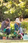 Happy young couple gardening together