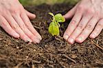 Woman planting in a field