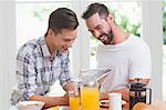 Happy homosexual couple looking at newspaper