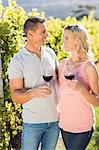 Smiling couple looking at each other with wineglass and standing next to grapevine