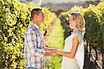 Smiling couple holding hands and standing next to grapevine