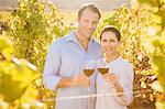 Smiling couple toasting with red wine