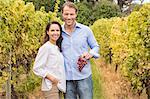 Smiling couple of vintners picking bunch of grapes