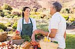 Smiling brunette farmer selling vegetables and bread