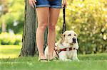 Woman with visual impairment with her sitting service dog