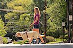 Student with visual impairment and her service dog crossing the street