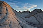 Waves of Brain Rock, White Pocket, Vermilion Cliffs National Monument, Arizona, United States of America, North America