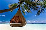 Sofa hanging on a tree on the beach, Maldives, Indian Ocean, Asia