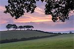 Rural countryside views at sunrise, Luccombe, Exmoor National Park, Somerset, England, United Kingdom, Europe