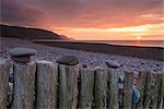 Pebbles on wooden posts at sunset, Bossington Beach, Exmoor National Park, Somerset, England, United Kingdom, Europe