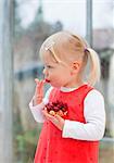 Toddler girl eating fruit cake