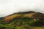 Hill side, Snowdonia, North Wales, UK