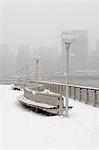 New York City in winter, New York, USA