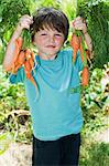 Boy holding bunch of homegrown carrots, portrait