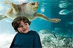 Boy in front of sea turtle in aquarium