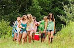 Teenagers carrying a hamper in the countryside