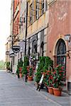 Storefronts, Stare Miasto, Warsaw, Poland