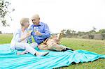 Senior couple having picnic in park, holding wine glasses