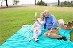 Senior couple having picnic in park, taking self portrait using smartphone