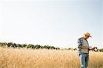 Man wearing a checked shirt and a hat standing in a cornfield, a farmer using a digital tablet.