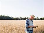 Man wearing a checked shirt and a hat standing in a cornfield using a digital tablet.