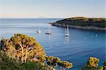 Sailing boats in the bay of Fetovaia at sunset, Island of Elba, Livorno Province, Tuscany, Italy, Europe