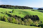 Glottertal Valley, Black Forest, Baden Wurttemberg, Germany, Europe