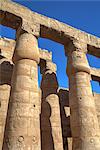 Columns in the Court of Ramses II, Luxor Temple, Luxor, Thebes, UNESCO World Heritage Site, Egypt, North Africa, Africa