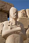 Statue of Pharaoh, Precinct of Amun-Re, Karnak Temple, Luxor, Thebes, UNESCO World Heritage Site, Egypt, North Africa, Africa