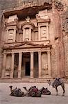 Camels in front of the Treasury, Petra, UNESCO World Heritage Site, Jordan, Middle East