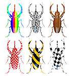 set of different pattern colored beetles