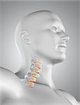3D render of a male medical figure with skeleton in neck highlighted