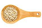 white sorghum grain on a small wooden spoon isolated on white with a clipping path