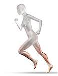 3D render of a female medical figure with partial muscle map jogging