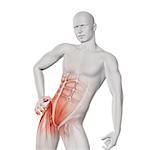3D render of a male medical figure with partial muscle map