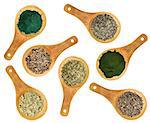 seaweed and algae nutrition supplements (Irish moss, wakame, bladderwrack, wakame, kelp, spirulina,chlorella) - top view of isolated wooden spoons