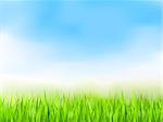 Green grass and blue sky, summer background, vector eps10 illustration, gradient mesh