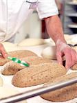 Baker scoring bread dough, cropped