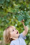 Boy examining leaves outdoors