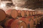 Barrels of wine in cellar