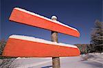 Blank signposts in snowy field