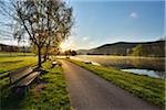 Cycle Path with Bench and Sun in the Morning on River Main, Collenberg, Churfranken, Spessart, Miltenberg-District, Bavaria, Germany