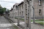 Barbed wire fences and buildngs, Auschwitz, Poland