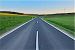 Country Road in Spring, Birkenfeld, Main-Spessart District, Franconia, Bavaria, Germany