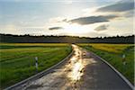 Rural Road with Canola Field and Sun in Spring, Reichartshausen, Amorbach, Odenwald, Bavaria, Germany