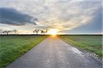 Rural Road at Sunrise, Schippach, Miltenberg, Odenwald, Bavaria, Germany