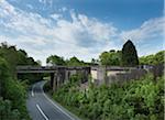 Vegetation by Highway in Summer near Paris, France