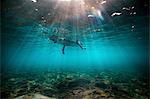 Underwater view of surfer waiting on a shallow reef for a wave in Bali, Indonesia